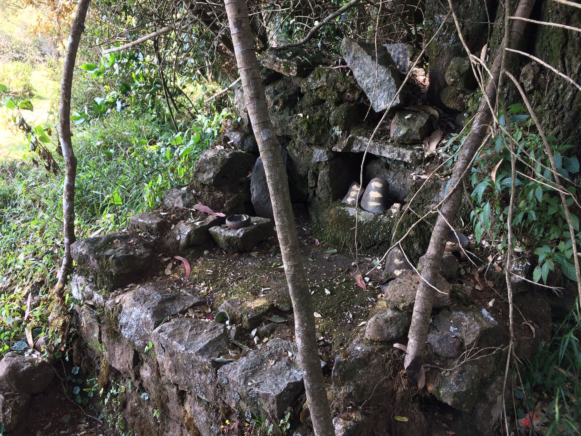 Random Shiva temple